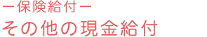 －保険給付－ その他の現金給付